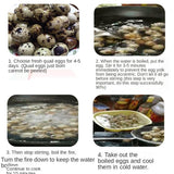Design high efficiency practical household manual quail egg peeler machine huller machine sheller machine