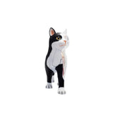 Animal Organ 4D Intelligence Assembling Toy Teaching Anatomy Model DIY Appliances