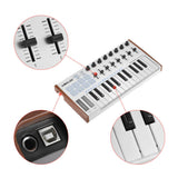 WORLDE TUNA MINI USB MIDI Keyboard Controller - Ultra-Portable 25 Keys, 8 RGB Backlit Trigger Pads, 6.35mm Pedal Jack