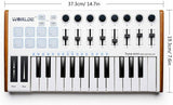Worlde 25 Keys Usb Midi Keyboard Controller Professional Musical Instruments Keyboard Midi Piano 8 Rgb Backlit Dj Pianos