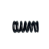 Taiwan EXA 290 291R and for Motorcycle Scooter bicycle rear shock absorber special spring 95mm