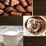 Commercial Electric Chocolate Melting hine 220V Milk Heating Furnace 110V Tempering Cream