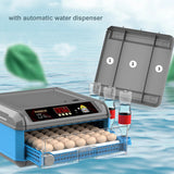 Small Home Automatic Intelligent Egg Turning Parrot Chicken Duck Goose Pigeon Incubator 48/64 Eggs Brooder