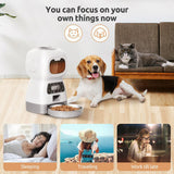 3.5L Automatic Pet For Cats WiFi Smart Swirl Slow Dog Feeder With Voice Recorder Large Capacity Timing Cat Food Dispenser