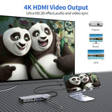 14 in 1 Hub Triple Display USB Docking Station with 2 4K HDMI VGA Gigabit Ethernet Power Delivery Type C Port hub