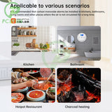 Tuya WiFi Smart Carbon Monoxide Leakage Detector Electrochemical Sensor LCD Screen Sound Light Alarm Tester CO Meter