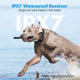 Electric Training Digital Rechargeable Remote Control IPX7 Waterproof Vibrator Pet Bark Stop Shock Collar for Dog