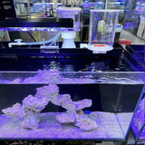 Fish tank automatic seawater and fresh grass tank, replacement bucket, aquarium water dispenser, free of power