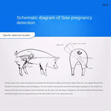Veterinary B-ultrasound hine sow pig sheep cat dog test portable pet pregnancy tester S1