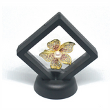 30 Pcs 3D Floating Display Frame Stand Storage Boxes for Jewelry Ring Earrings Coin Medals Challenge Medal Holder A