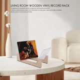 Vinyl Record Storage Holder,Acrylic Ends,Display Your Singles and LPs in This Modern Portable Rack Unit