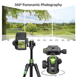 Ballhead Panoramic Camera Ball 1/4In QR Plate Double Bubble Level Head for Tripod Monopod Slider Payload 8kg