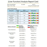 QMR-998 Resonance Magnetic Set Hand Touch Quantum Body Analyzer With 52 Reports 10Th Generation