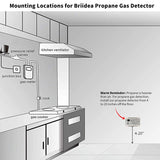 Gas Detector 85dB Loud DC 12V Compact Design RV Propane Alarm for Trailer Camper Motor Digital Display