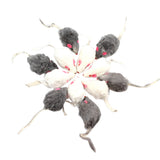 12Pcs False Mouse Pet Toys Long-Haired Tail Mice Rattling Soft Real Rabbit Fur Sound Squeaky Toy