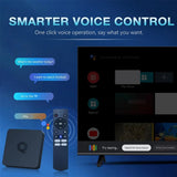 Q1 Smart ATV 10 Allwinner H313 2GB 16GB Dual Wifi 4G 5G BT5.2 HD 4K Media Player Android Voice remote Set Top Box