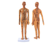 Female Male 35cm with Chinese Points & Base PVC Human Body Acupuncture Point Model DIY