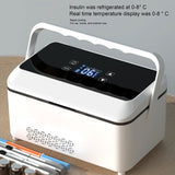LED Display Screen Temperature Adjust Cooler Travel Box for Car Insu Refrigerated Case