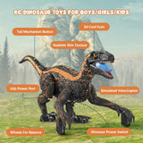 Remote Control Dinosaur Toys For Kids 3-5, Boys Toys For 3 4 5 6 Year Old Gifts Electronic RC Toys