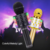 Karaoke dj Wireless Professional Speaker Home KTV Handheld Microphone mikrofon