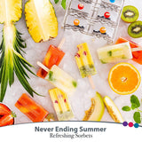 Stainless Steel Molds Rust-Resistant Popsicle Maker Set Popcical Mold With Tray- Cleaning Brush