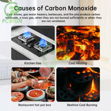 Tuya WiFi Smart Carbon Monoxide Leakage Detector Electrochemical Sensor LCD Screen Sound Light Alarm Tester CO Meter