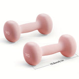 1pair High-density Solid Iron Dumbbell For Women & Men, Home & Outdoor Strength Training Device