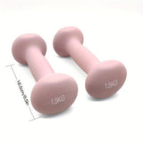 1pair High-density Solid Iron Dumbbell For Women & Men, Home & Outdoor Strength Training Device