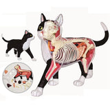Animal Organ 4D Intelligence Assembling Toy Teaching Anatomy Model DIY Appliances