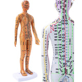 Female Male 35cm with Chinese Points & Base PVC Human Body Acupuncture Point Model DIY