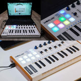 Worlde 25 Keys Usb Midi Keyboard Controller Professional Musical Instruments Keyboard Midi Piano 8 Rgb Backlit Dj Pianos