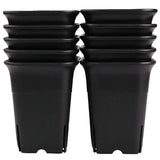 12PCS-Pack Square Plastic Succulent for Plant Flowers Cactus, Etc., Black Nursery Flower Pot