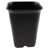 12PCS-Pack Square Plastic Succulent for Plant Flowers Cactus, Etc., Black Nursery Flower Pot