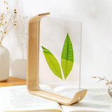 Acrylic Wood Herbarium Nordic Picture Frame for Wedding Photocard Display Stand Table Deco B