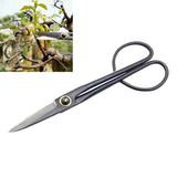 21CM Beginner Bonsai Tool Long Handle Scissors Gardening Plant Branch Shears Garden Pruning Tools Bonsai Scissors