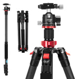 Camera Tripod&amp;Pan Head Travel Camera Tripod with Monopod 360 Degree Low Profile Ball Head for DSLR Cameras Cell Phones