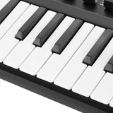 WORLDE Panda 25-Key USB and Drum Keyboard Instrument MIDI Pad Controller Piano