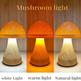Tri color LED mushroom touch sensor, USB adjustable night light, portable head light with rechargeable battery