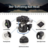 Camera Tripod&amp;Pan Head Travel Camera Tripod with Monopod 360 Degree Low Profile Ball Head for DSLR Cameras Cell Phones