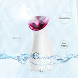 Mist Steaming Hot And Cold Double Spray Sprayer Humidification Face Steamer Home Facial Spa
