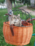 Bicycle Handlebar Wicker Pet Seat with Cover - Handwoven, Bike Basket Front Pannier Bag, Cycling Accessories