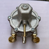 Automobile Natural Accessories LPG Liquefied Gas Pressure Reducing Vae Vehicle Direct Injection Evaporator