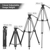 Andoer D1801 Professional Photography Tripod Stand 3-Section Extendable Max. Height 180cm 10kg Load for DSLR Cameras Camcorders