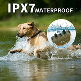 Electric Training Remote Control Rechargeable Bark Collar Waterproonti Barking Device For All Size Dog