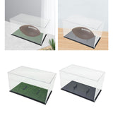 Football Dustproof Oval Ball Holder Acrylic Display Case for Souvenir Art Craft Collectibles Figures Volleyball
