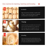 204/136 Eggs Intelligent Large and Medium-Sized Household Full-Automatic Chicken Duck Goose Quail Incubator