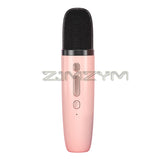 3in1 Bluetooth Speaker Microphone Mini Wireless Karaoke hine With Fm Radio for Kids Adults Family KTV Party Birthday Gifts
