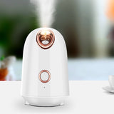 Multifunctional Beauty Instrument Face Vaporizer Nano Spray Hydrator Portable Facial Home Rejuvenation Anti-wrinkle Humidifier