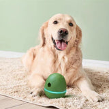 Pet Design Egg Shaped Dancing Toy Pet Smart Snack Dispenser