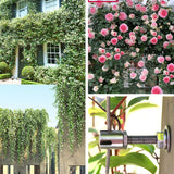 Stainless Steel Trellis Plants Climbing Vine Rack with 12m Rope - Plant Potted Support Frame & Wall Bracket Garden Tools